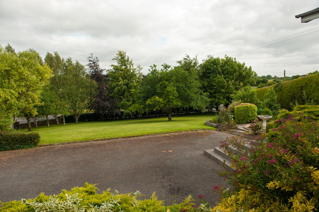 Fort House Bed & Breakfast Kilbeggan Buitenkant foto