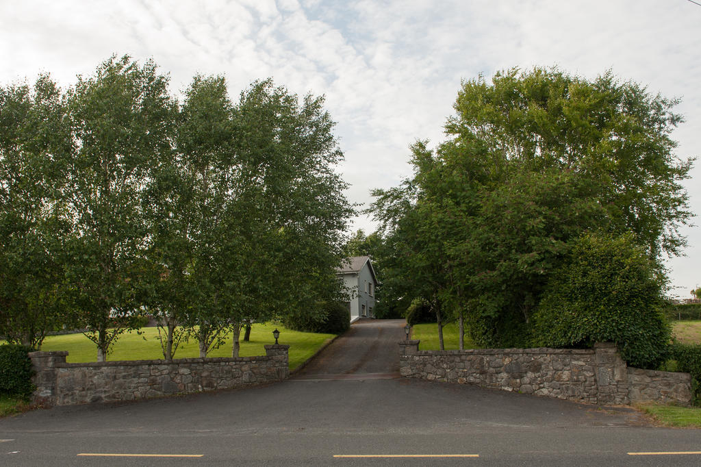 Fort House Bed & Breakfast Kilbeggan Buitenkant foto