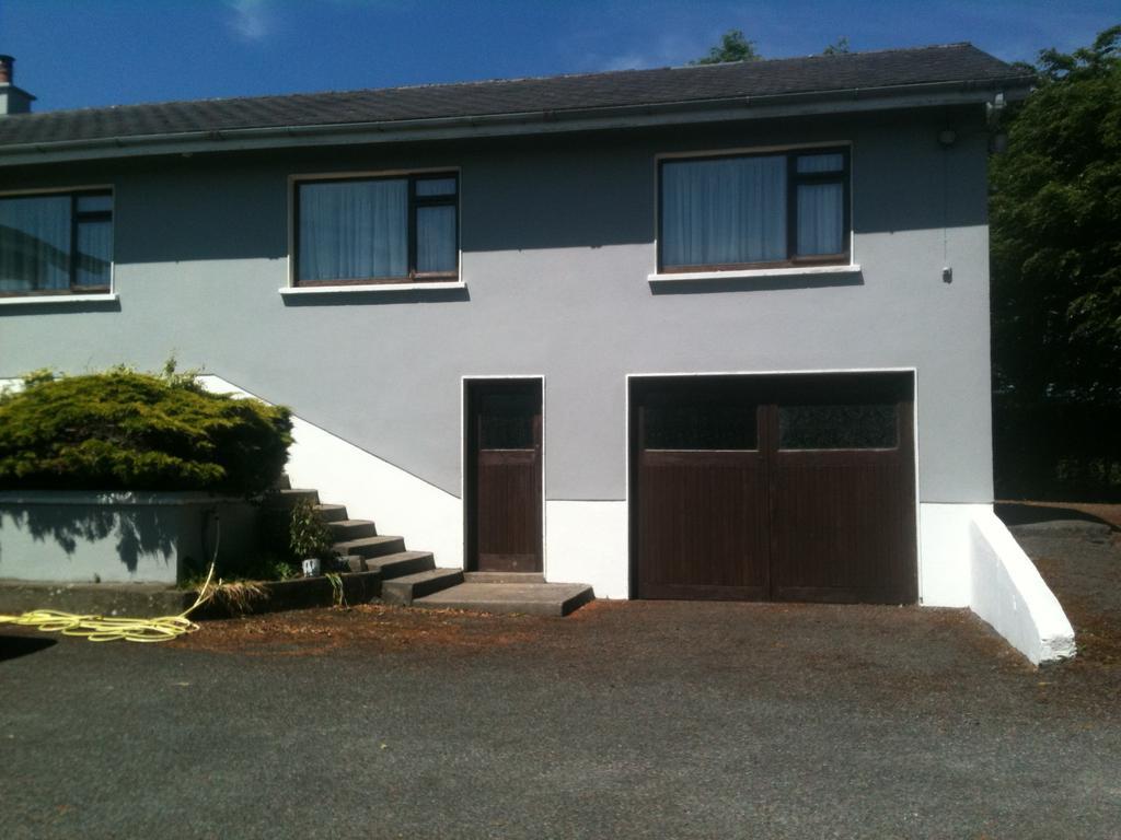 Fort House Bed & Breakfast Kilbeggan Buitenkant foto
