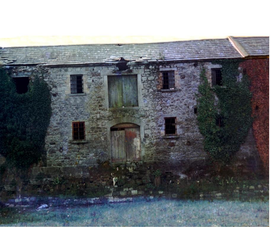 Fort House Bed & Breakfast Kilbeggan Buitenkant foto