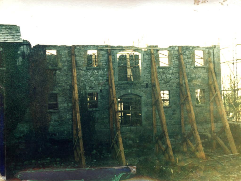 Fort House Bed & Breakfast Kilbeggan Buitenkant foto