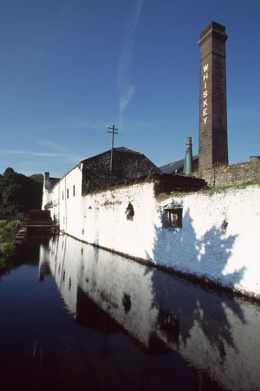 Fort House Bed & Breakfast Kilbeggan Buitenkant foto