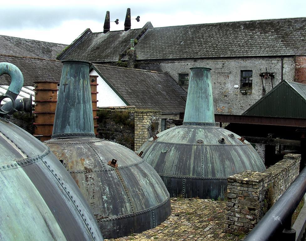 Fort House Bed & Breakfast Kilbeggan Buitenkant foto